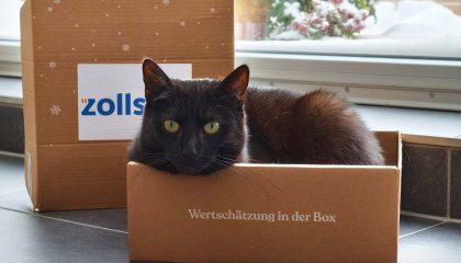 wertschaetzung-bei-zollsoft